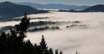 Synoptyk IMGW: gęste mgły na południu, lokalnie możliwe przymrozki